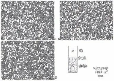 1691505828706924.jpg 5.jpg