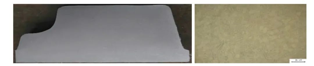 1691505855375029.jpg 6.jpg