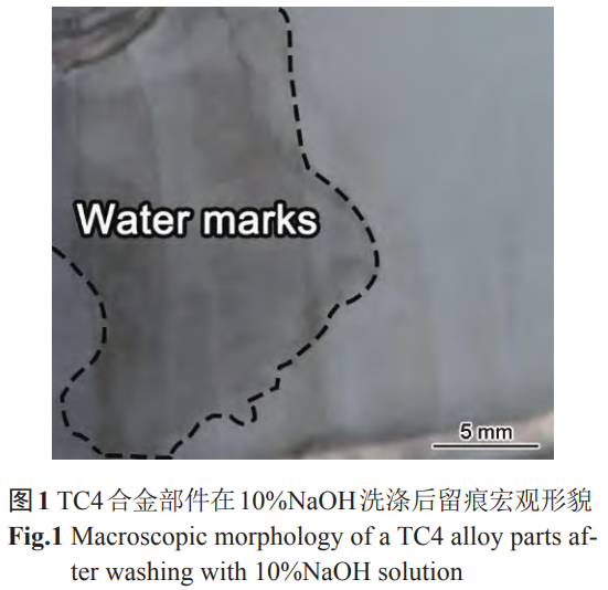 1738593603894289.png 截图20250203223557.png