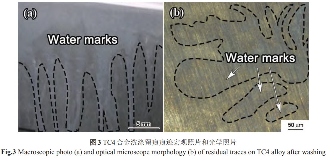 1738593671182066.png 截图20250203223637.png